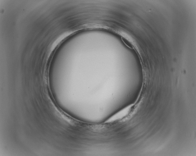 X0000076251141200610191642