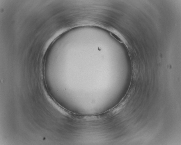 X0000076251142200610191642