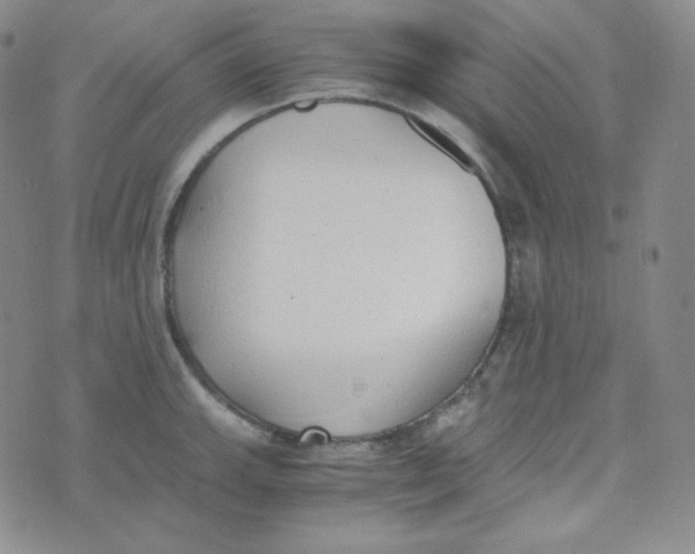 X0000076251143200610191642