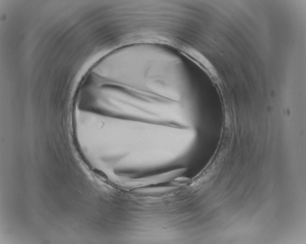 X0000076251144200610191642