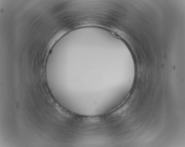 X0000076251145200610191642