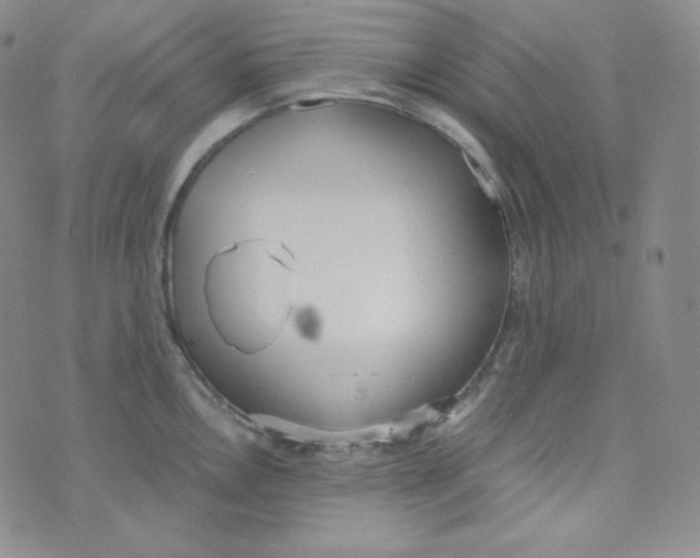 X0000076251146200610191642