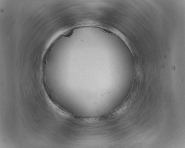 X0000076251147200610191642