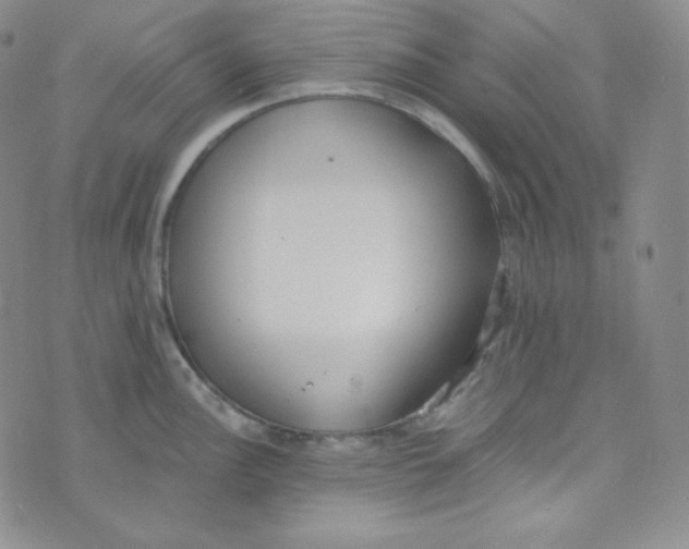 X0000076251148200610191642