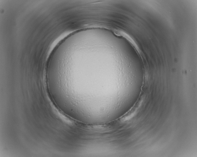 X0000076251149200610191642