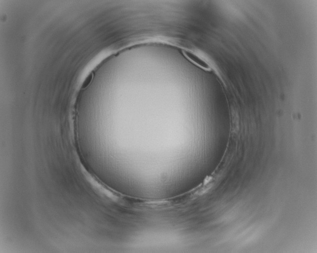 X0000076251151200610191642