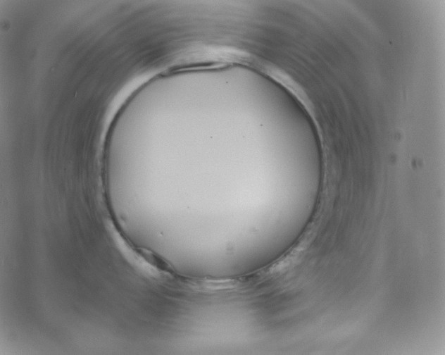 X0000076251152200610191642