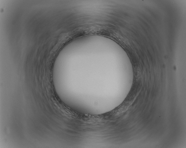 X0000076251153200610191642