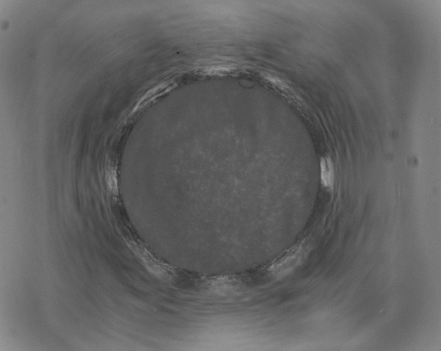 X0000076251155200610191641