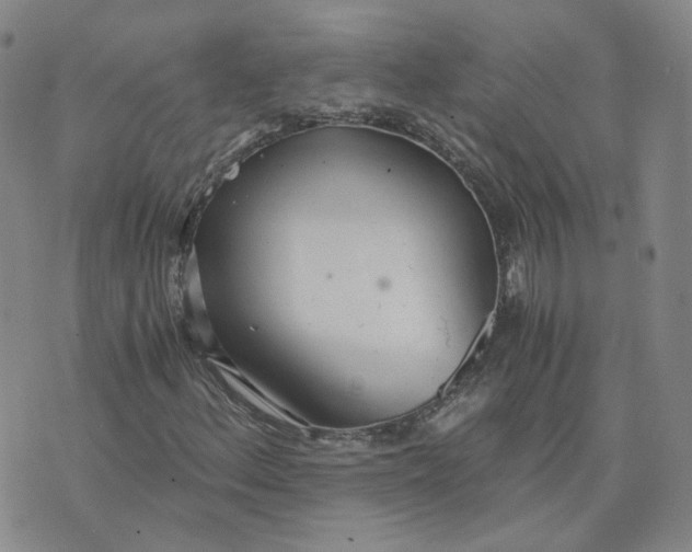 X0000076251156200610191641