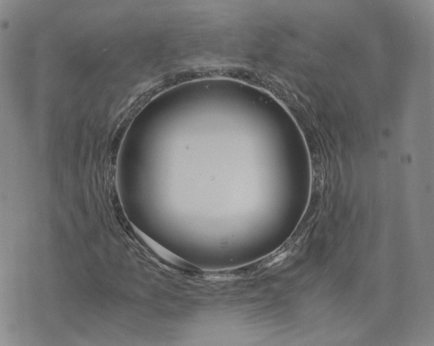 X0000076251157200610191641