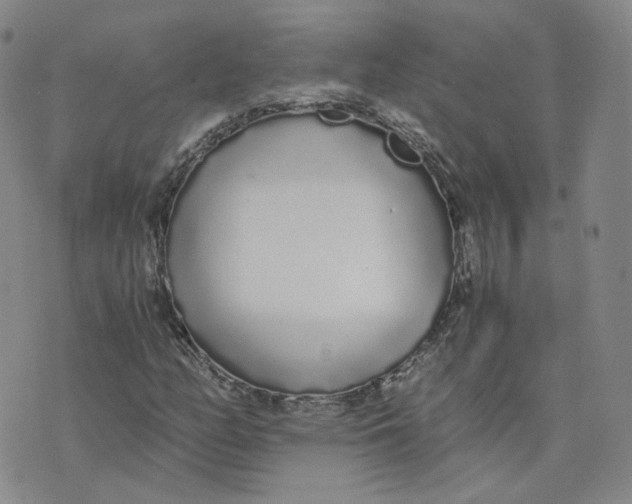 X0000076251158200610191641