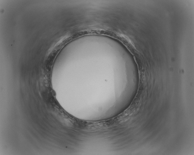 X0000076251159200610191641