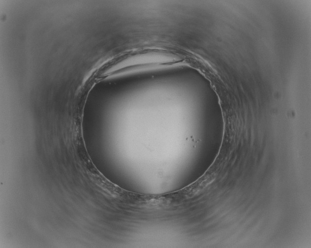 X0000076251160200610191641