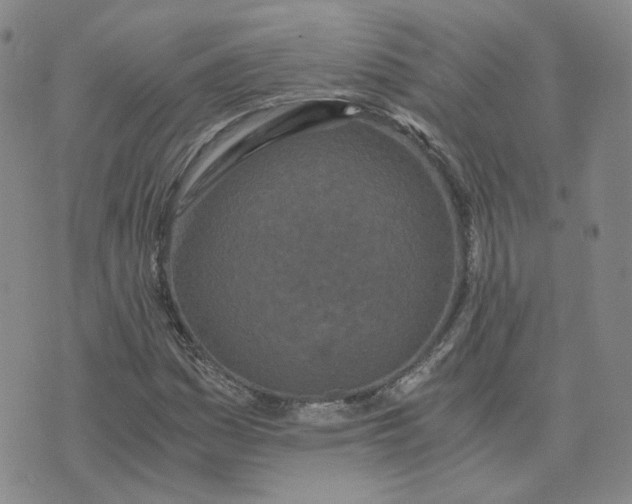 X0000076251161200610191641