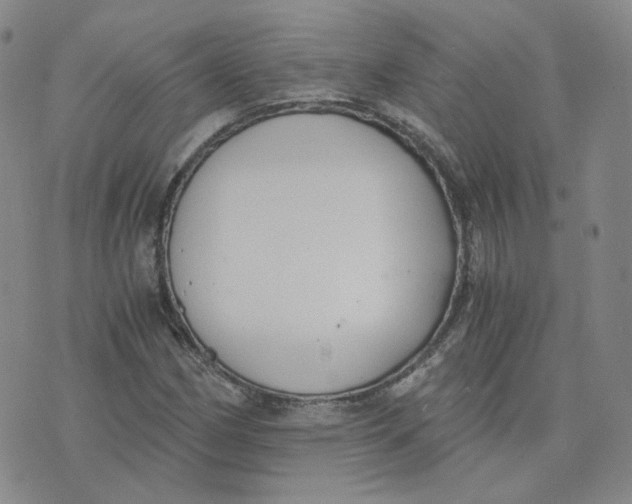 X0000076251162200610191641