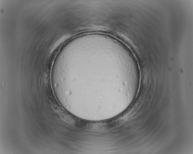 X0000076251163200610191641