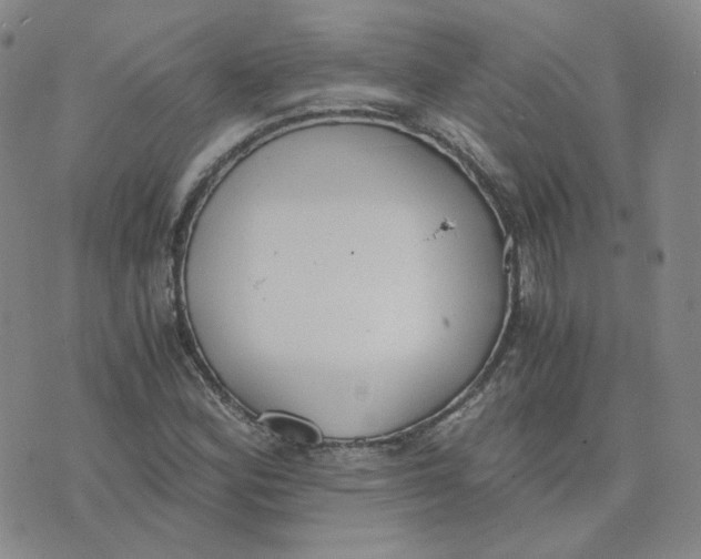 X0000076251164200610191641