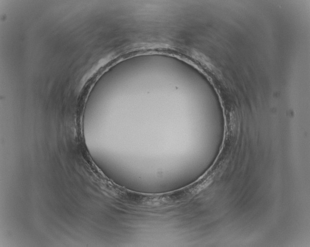 X0000076251165200610191641