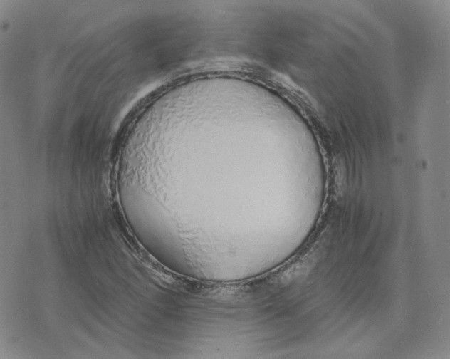 X0000076251166200610191641