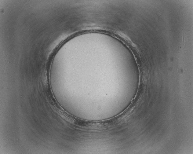 X0000076251167200610191641