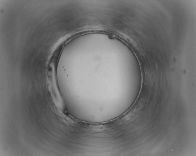 X0000076251168200610191641