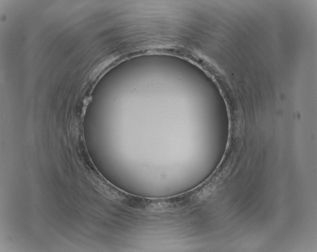 X0000076251169200610191641