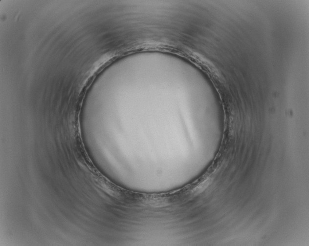 X0000076251170200610191641