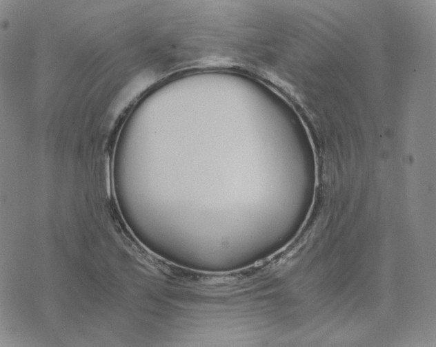 X0000076251171200610191641