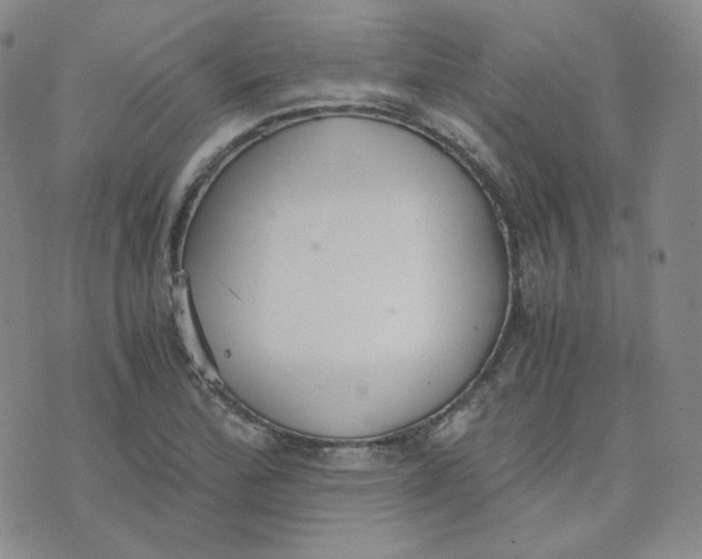 X0000076251172200610191641