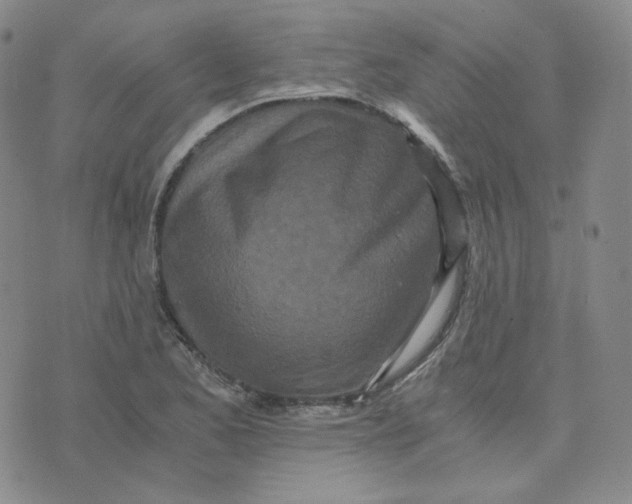 X0000076251173200610191641