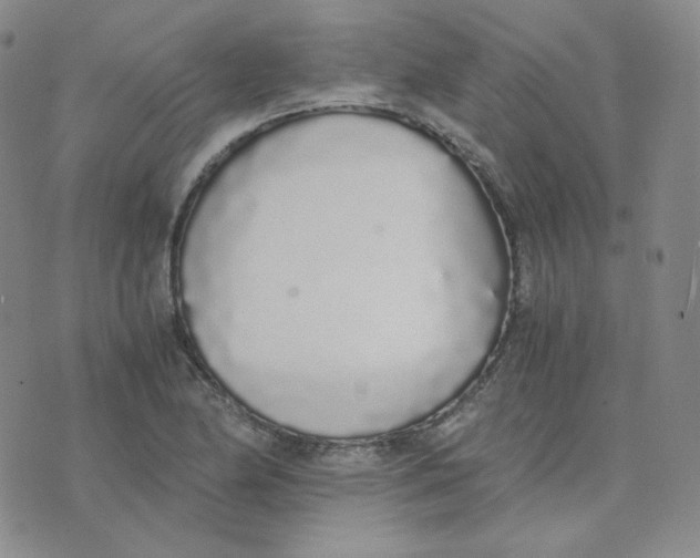 X0000076251174200610191641