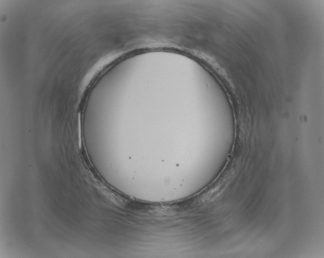 X0000076251175200610191641