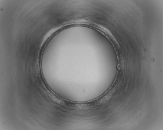 X0000076251176200610191641