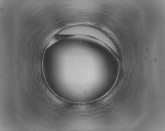 X0000076251177200610191641