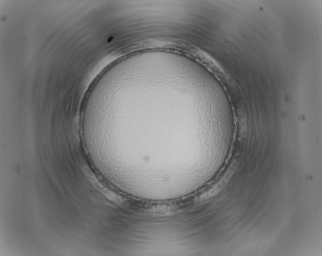 X0000076251178200610191641