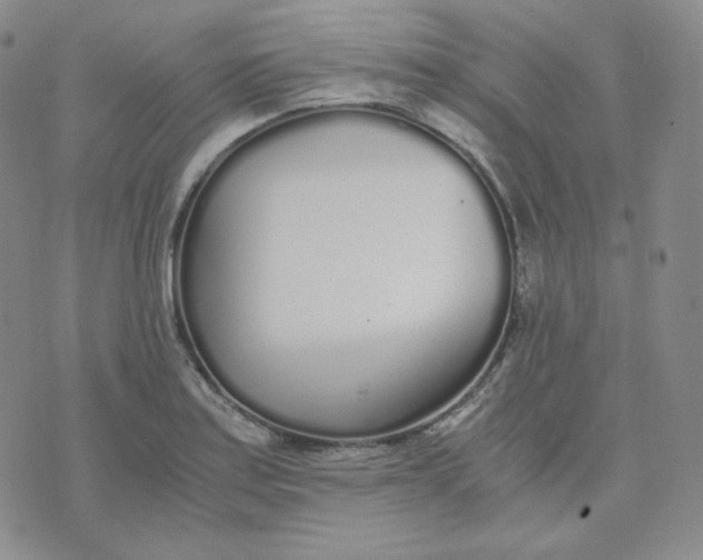 X0000076251179200610191641