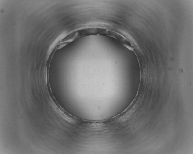 X0000076251180200610191641