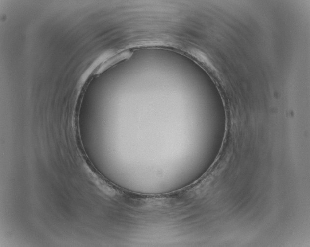 X0000076251181200610191641