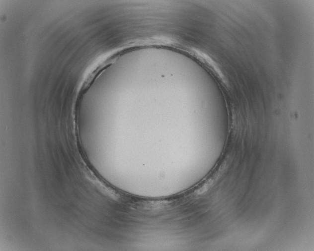 X0000076251184200610191641