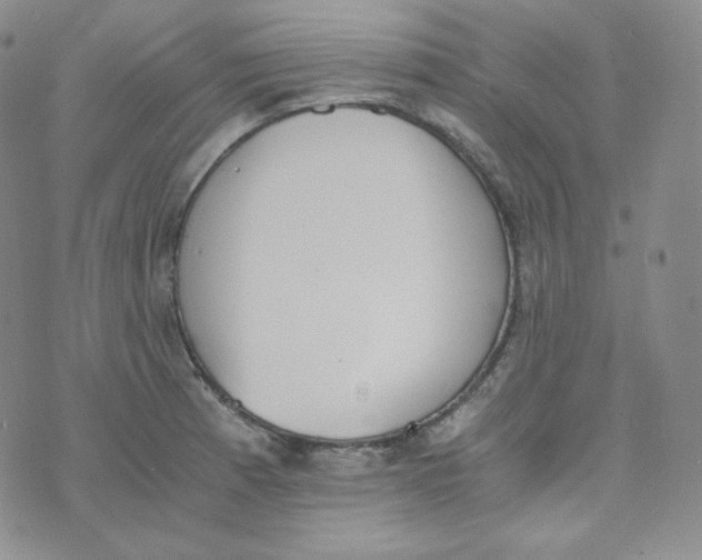 X0000076251185200610191641