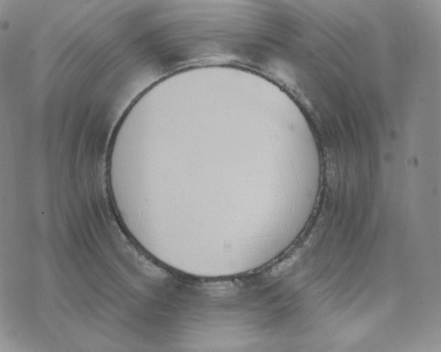 X0000076251186200610191641