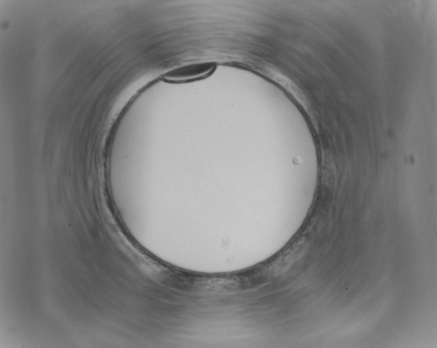 X0000076251187200610191641