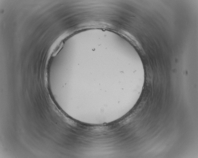 X0000076251188200610191641