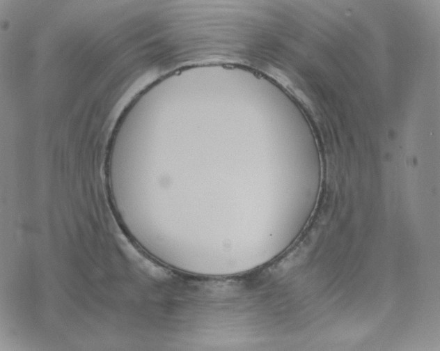 X0000076251189200610191641