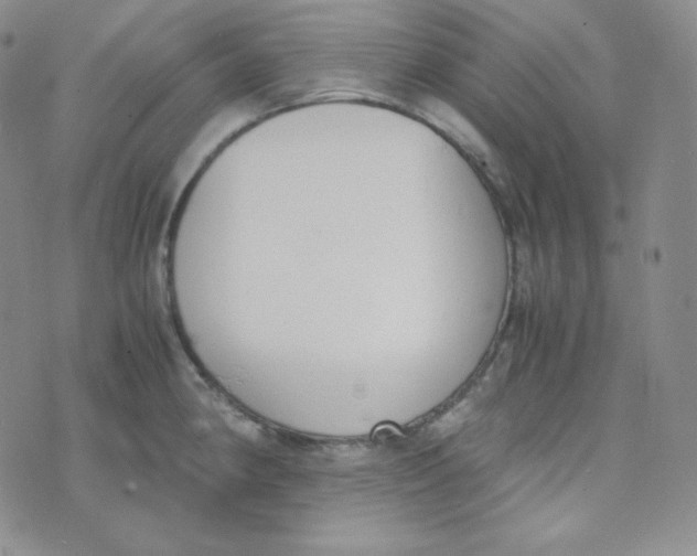 X0000076251190200610191641