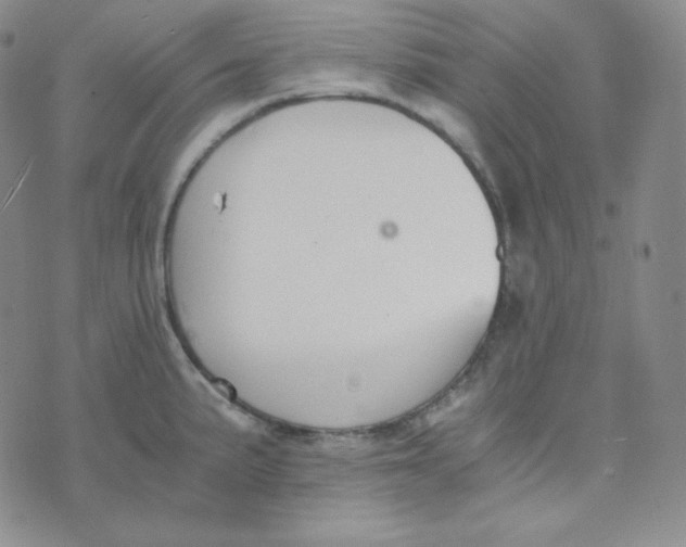 X0000076251191200610191641