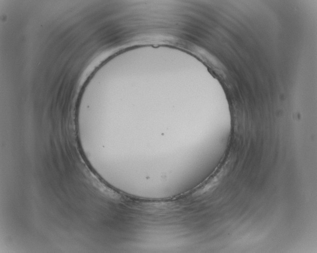 X0000076251192200610191641