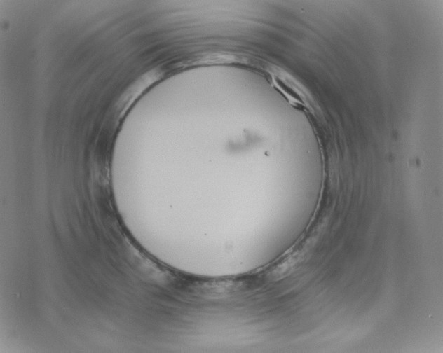 X0000076251193200610191641