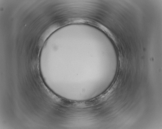 X0000076251194200610191641